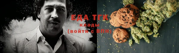 индика Алзамай