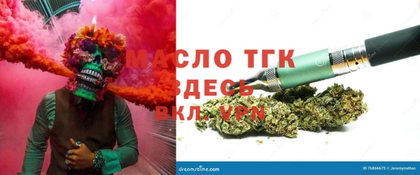 индика Алзамай