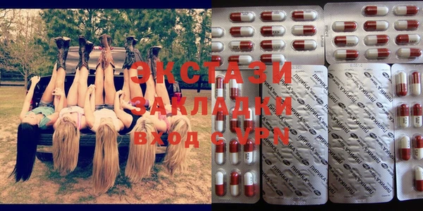 индика Алзамай