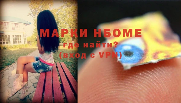 индика Алзамай