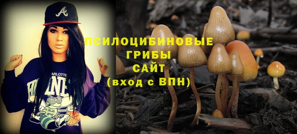 СК Алексин
