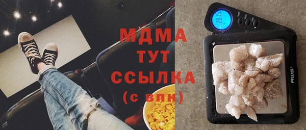 индика Алзамай