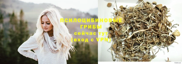 индика Алзамай