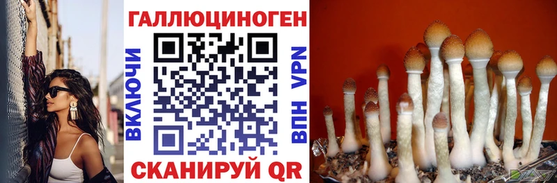 Псилоцибиновые грибы мухоморы мега зеркало Похвистнево